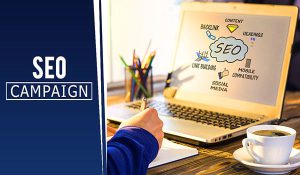 Quality of Your SEO Campaign