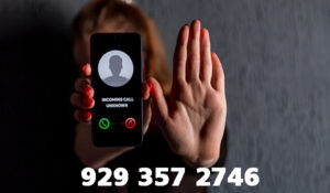 929 357 2746
